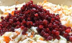 Салат с моченой брусникой рецепт