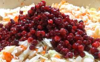 Салат с моченой брусникой рецепт