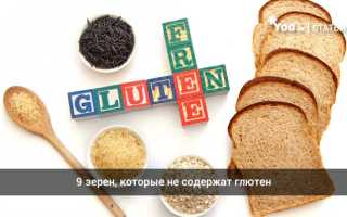 Глютен — что это такое и вредно ли для организма