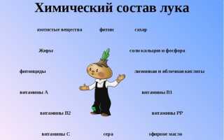 Калорийность Лук репчатый, сырой. Химический состав и пищевая ценность.