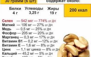 Виды орехов, список съедобных и несъедобных орехов