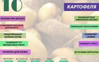 Что нужно знать о калорийности картофеля