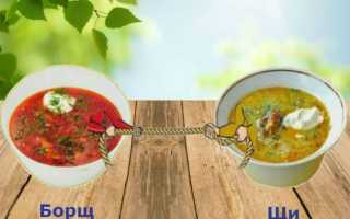 Щи из свежей капусты — вкус и польза для организма