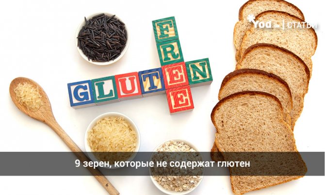 9 зерен, которые не содержат глютен