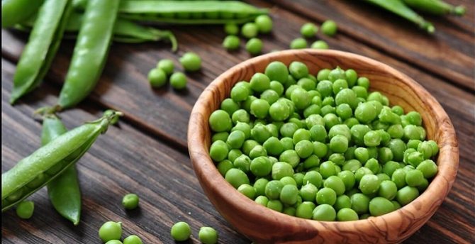 Горох: польза и вред продукта для здоровья