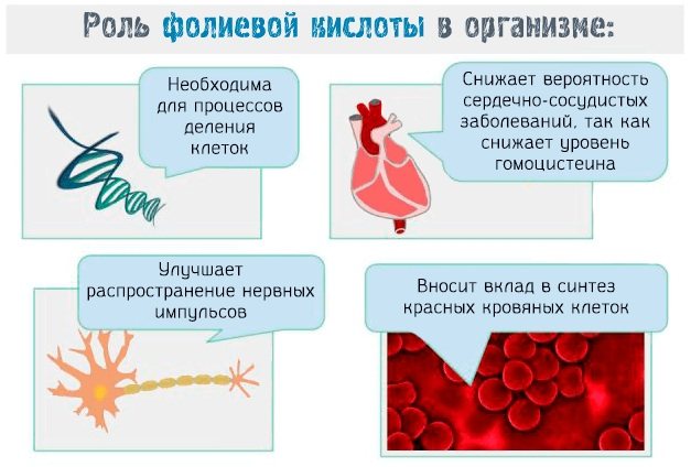 Хлеб Дарницкий. Калорийность, белки, жиры, углеводы. Рецепты в хлебопечке, духовке