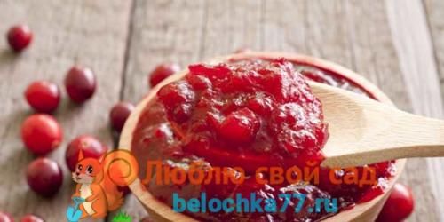 Клюква перетертая с сахаром и лимоном. Рецепты из протертой клюквы с сахаром
