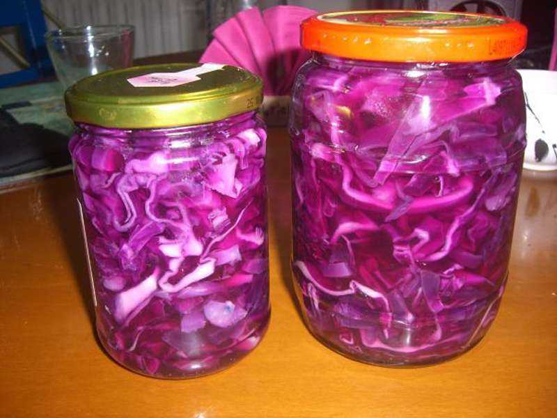 красная маринованная капуста на зиму