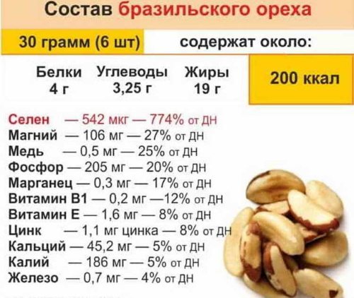 Орехи в скорлупе. Виды, фото и названия, список, какие бывают