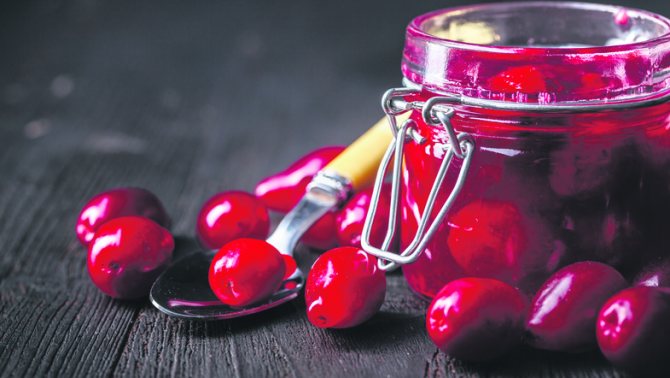 Последняя ягода лета – чем полезен и как хранить кизил-800x530